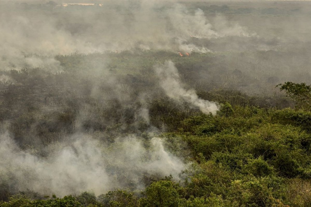 Militares do Exército começam a combater incêndios no Tocantins