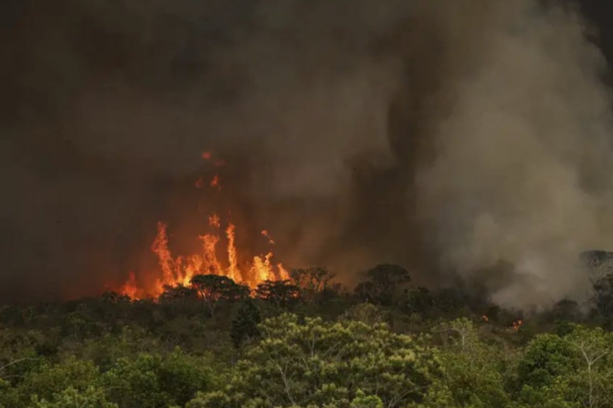 Emissão de CO2 cresce em 60% na Amazônia por queimadas 