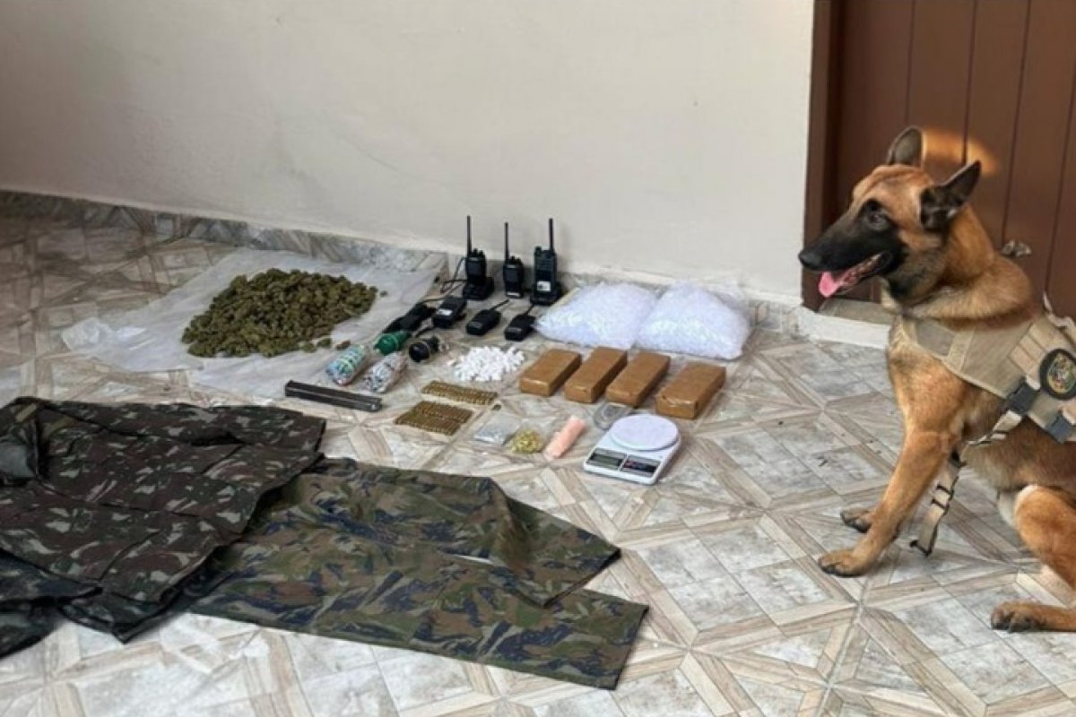 Drogas, granadas e munições são apreendidas pela PM no sul da Bahia 