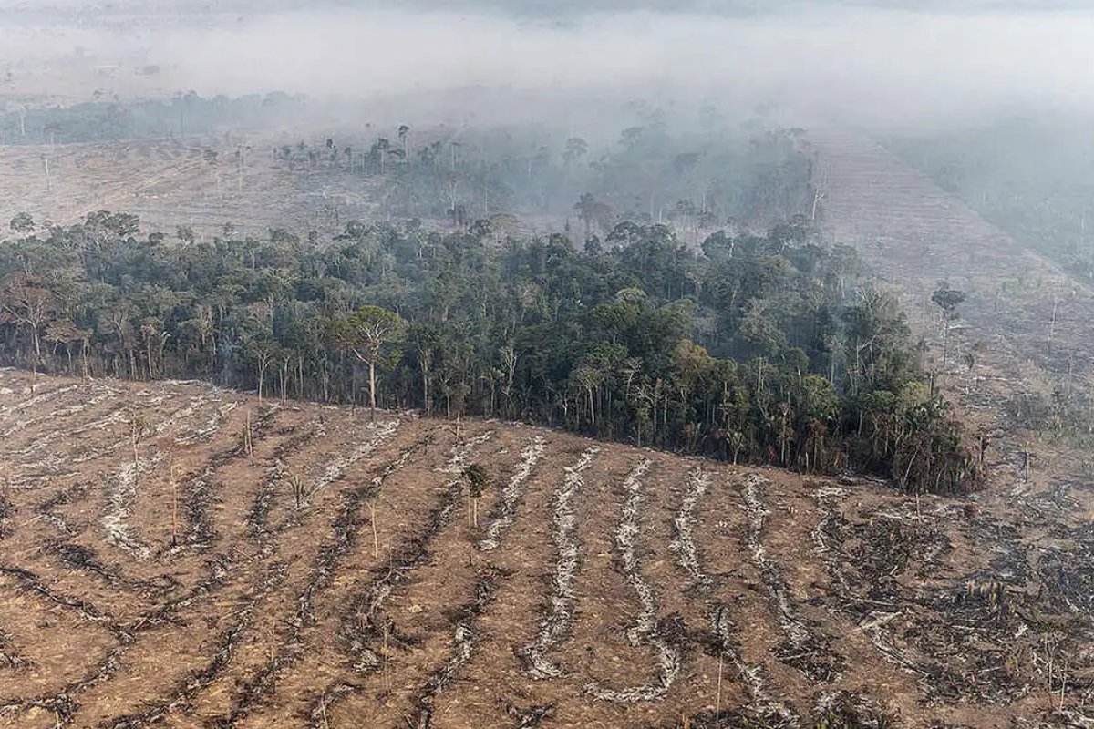 PF investiga 85 queimadas ilegais no Brasil