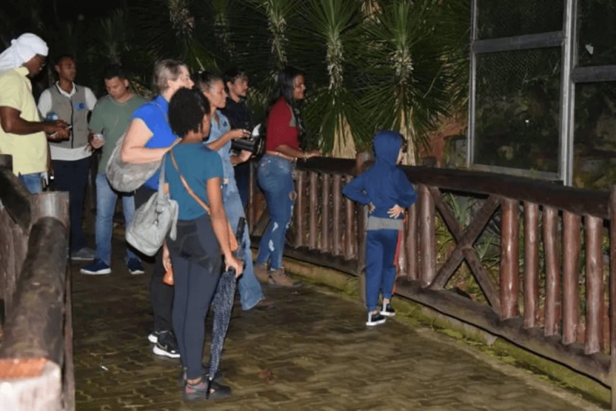 Zoológico de Salvador oferece nova datas de passeio noturno no mês das crianças