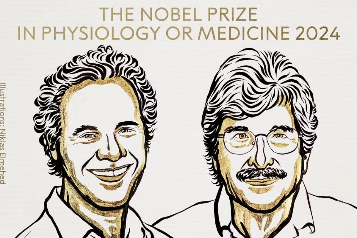 Nobel de Medicina vai para Victor Ambros e Gary Ruvkun pela descoberta dos microRNAs