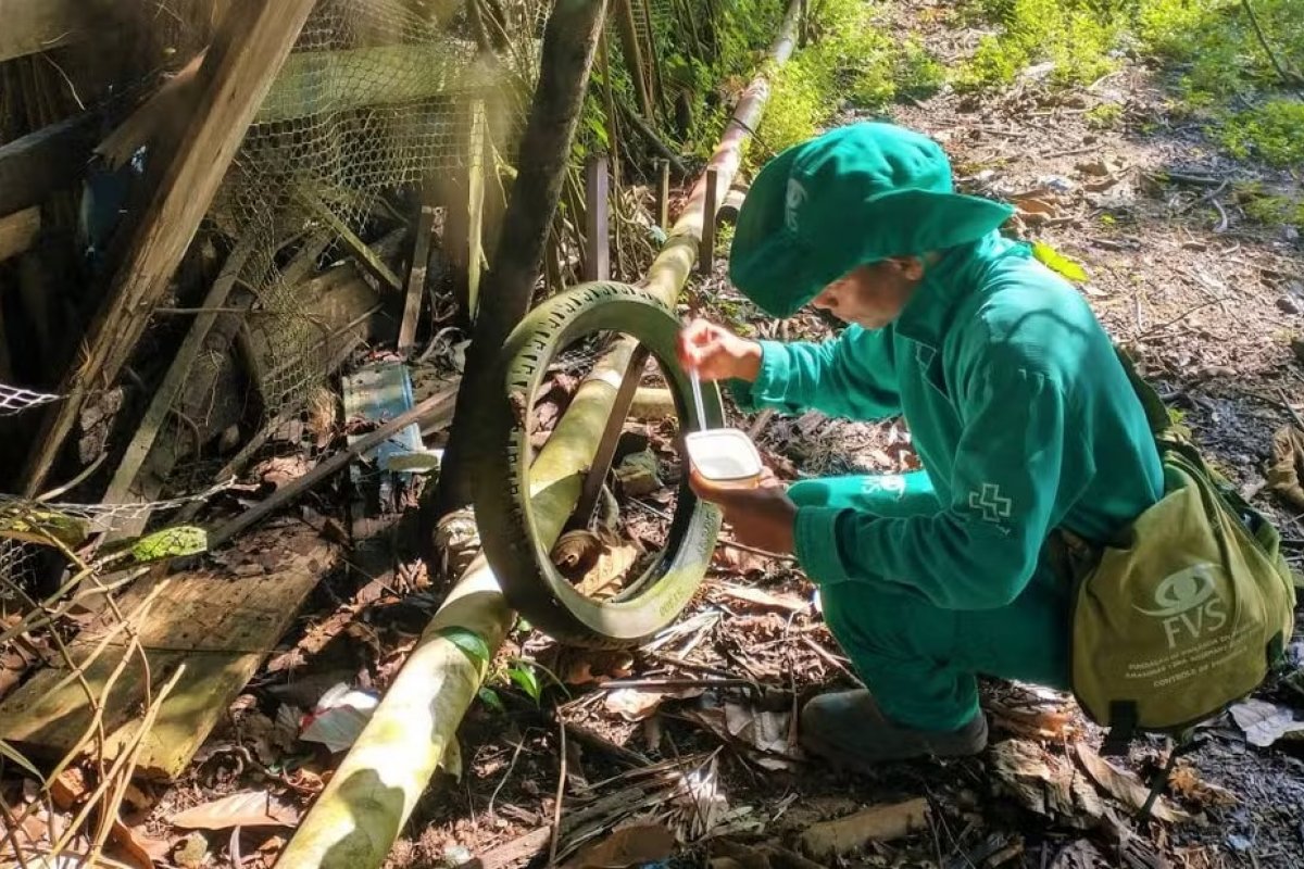 Amazonas registra primeiro caso de Dengue tipo 3 nos últimos 15 anos