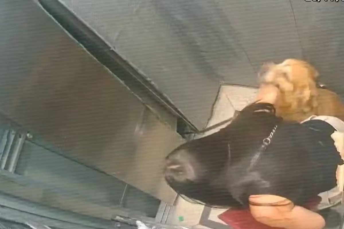 Vídeo: seis dias após morte de trabalhadores em elevador, equipamento despenca parcialmente com mulher e cachorro em ouro prédio de Salvador
