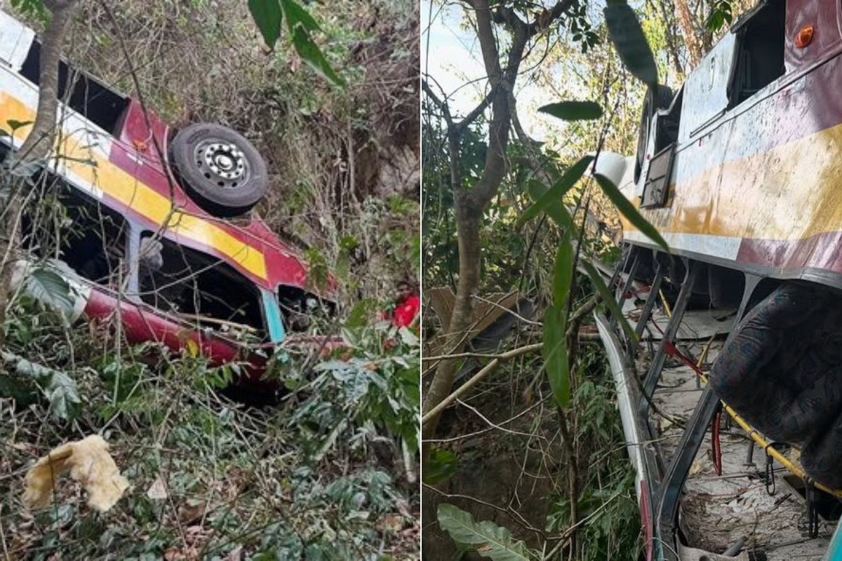 Vídeo: ônibus capota em ribanceira rumo ao Quilombo dos Palmares e deixa 18 mortos; imagens mostram desespero de sobreviventes