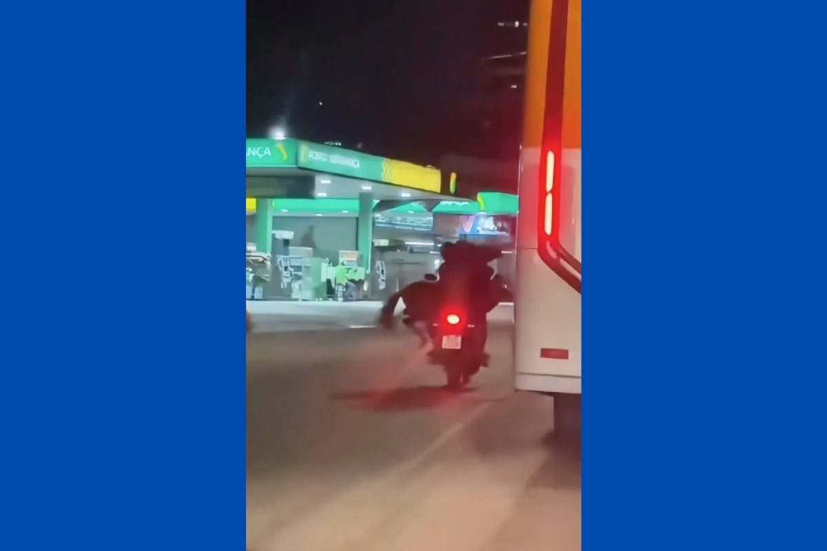 Vídeo: cavalo é carregado em moto por duas pessoas no RJ