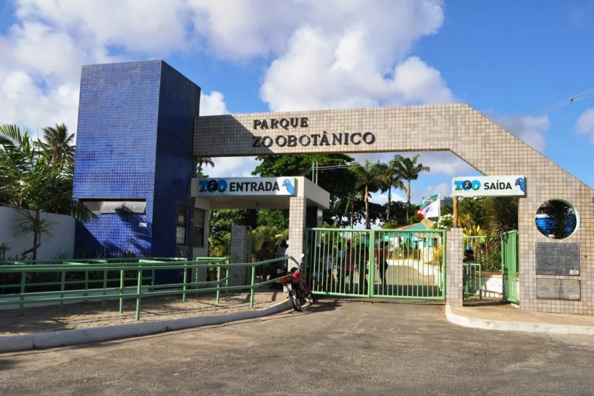 Edições noturnas serão realizadas pelo Zoológico de Salvador em dezembro
