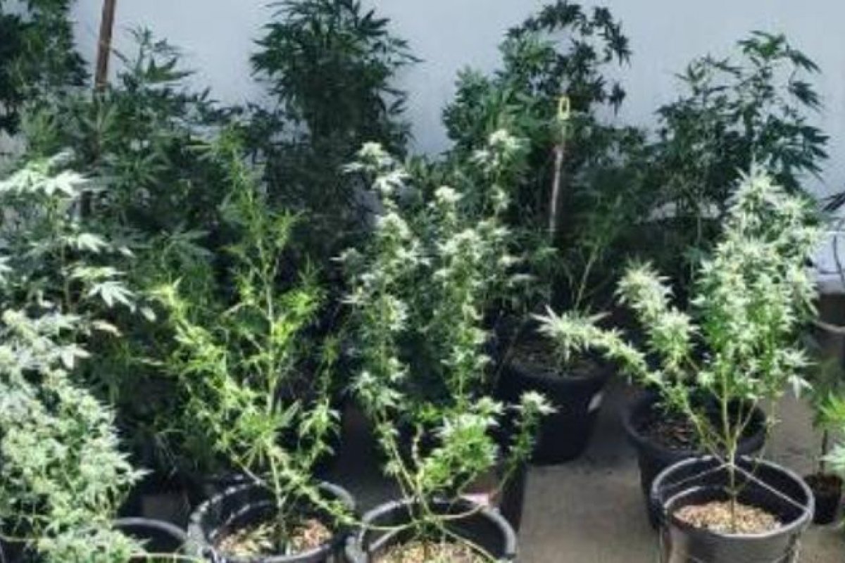 Laboratório de drogas é desarticulado pela PM