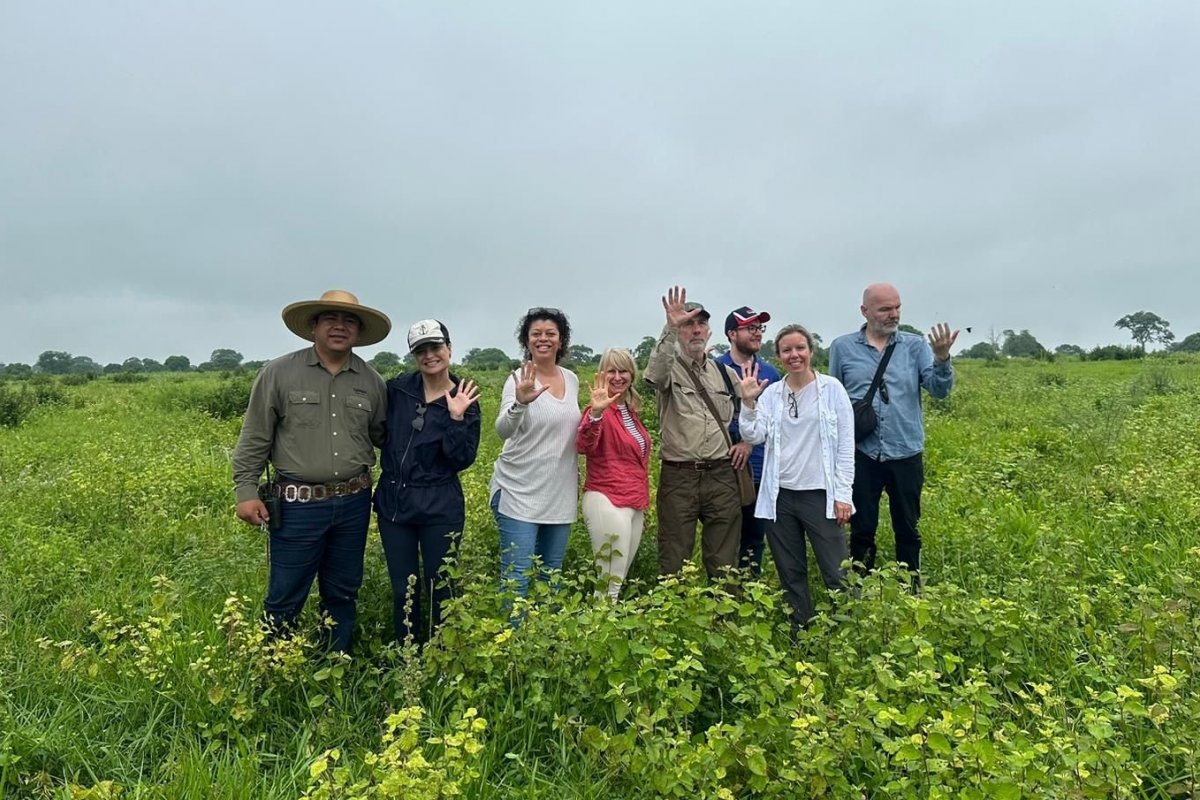 Jornalistas do Reino Unido e da Irlanda visitam o Pantanal e acompanham sua regeneração! 