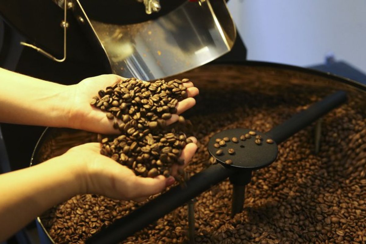 Calor extremo afeta produção do café no Brasil, eleva preço e baixa qualidade do grão