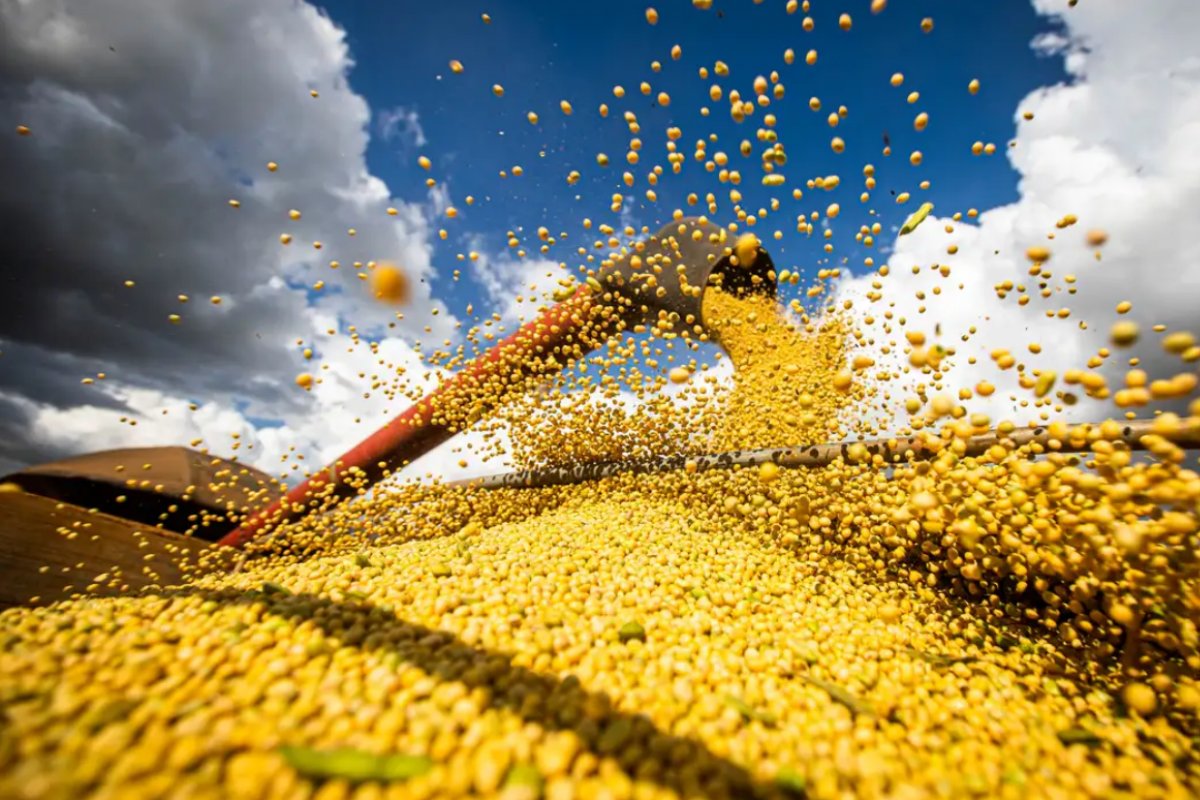 Brasil registra abertura de 300 novos mercados internacionais para o agronegócio