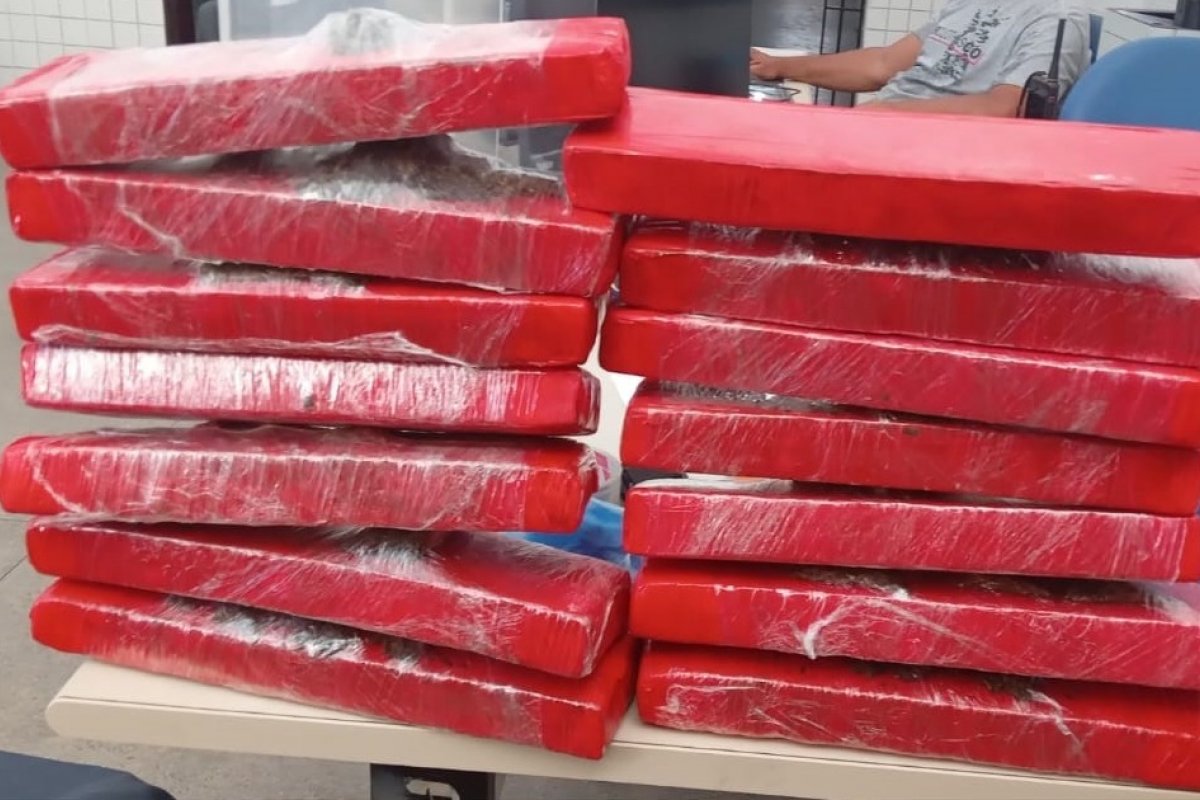 PM apreende mais de 10 tabletes de maconha em Candeias 