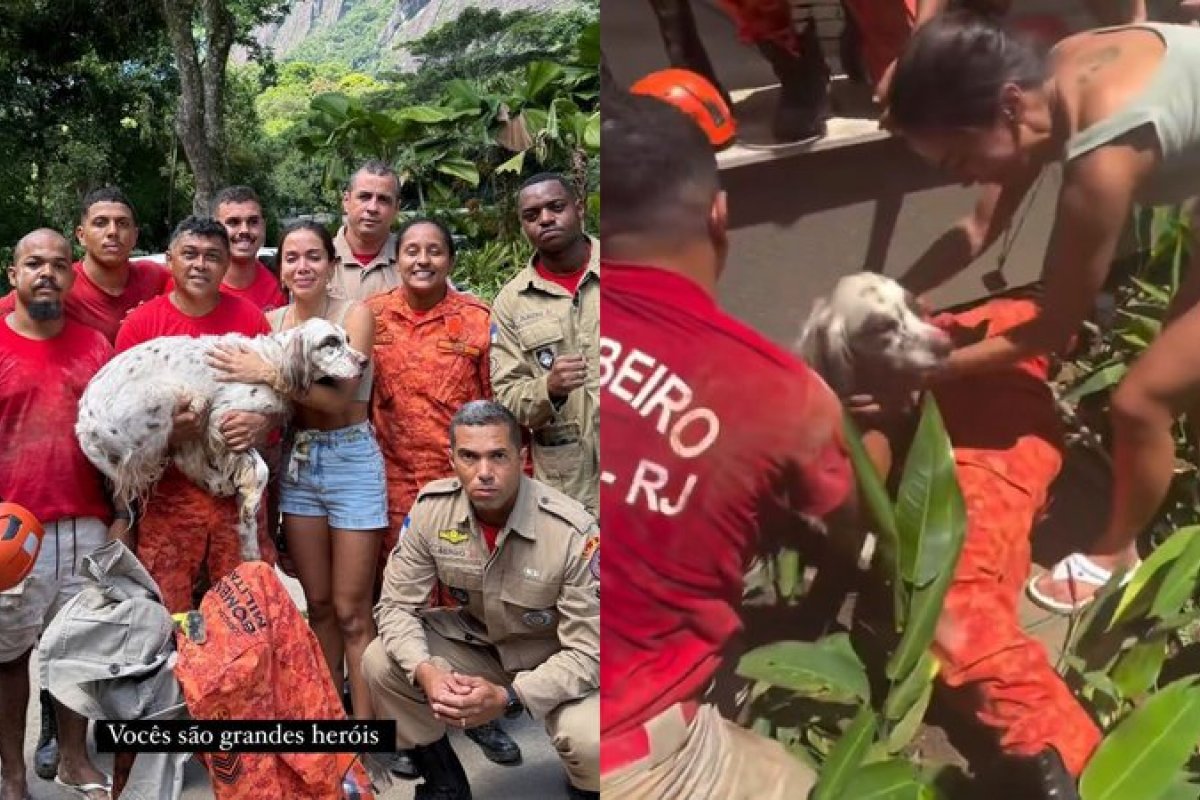 Anitta aciona Corpo de Bombeiros e resgata cachorro desaparecido!