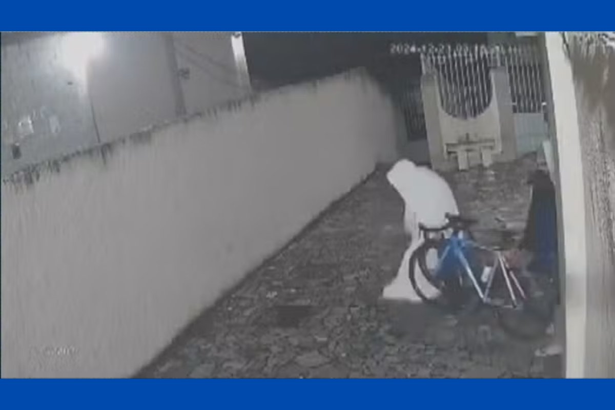 Vídeo: bandido coberto com lençol furta duas bicicletas em casa no Rio de Janeiro