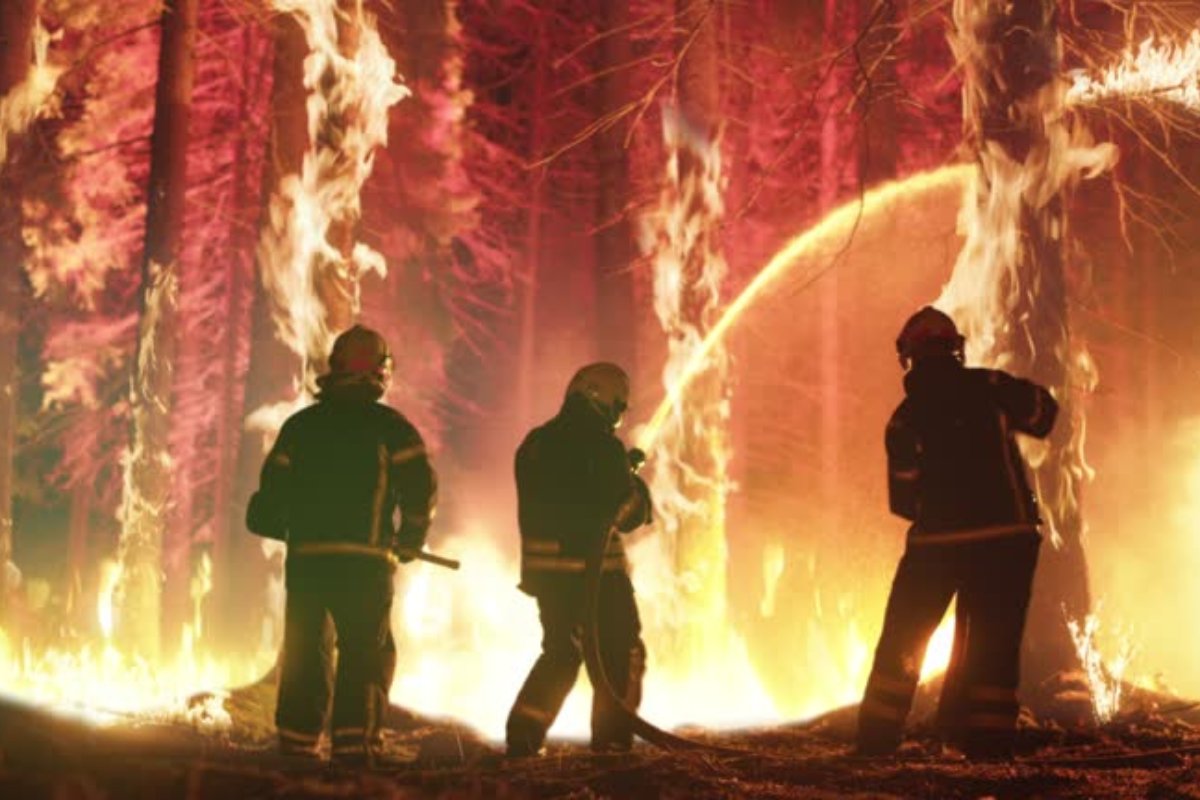 Incêndio florestal atinge cidade de Los Angeles nos EUA; mais de 30 mil pessoas foram obrigadas a saírem de casa 