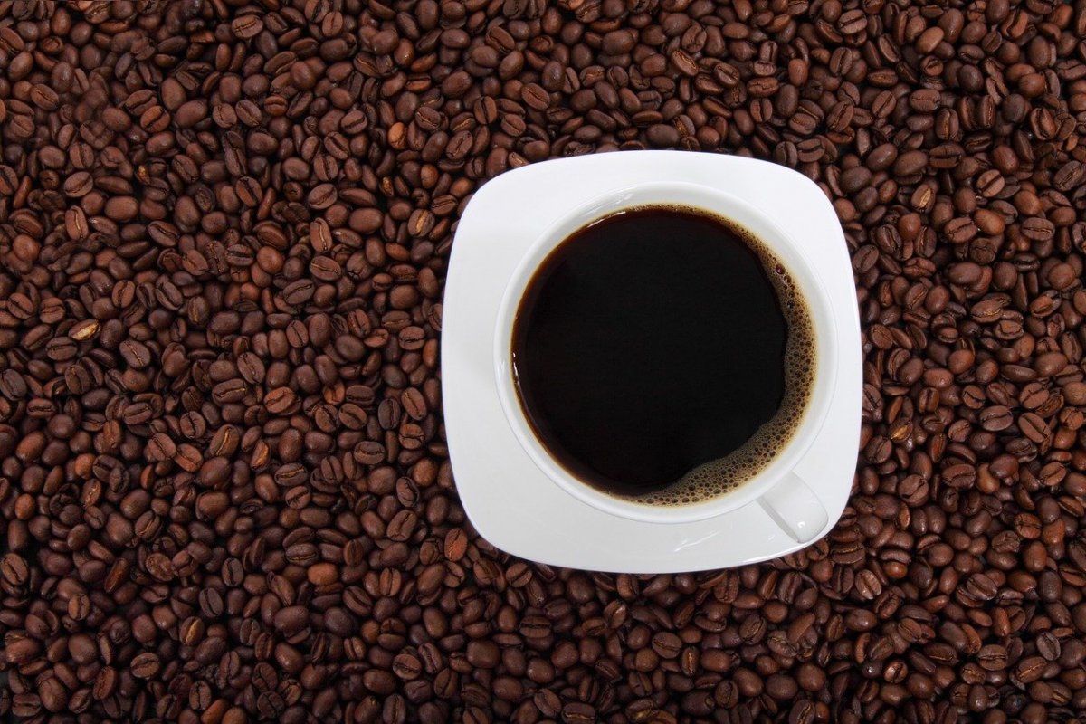 Café a quase R$ 50: o que está por trás da alta expressiva nos preços