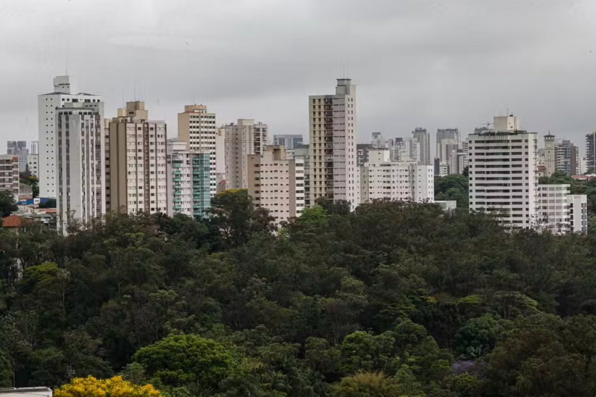 São Paulo é a capital mais cara para morar de aluguel no Brasil; confira o ranking 