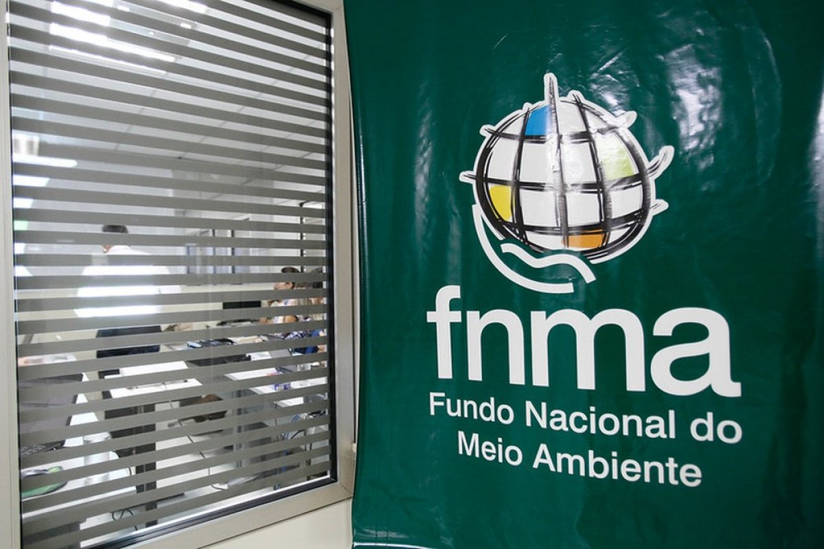 Bolsonaro exclui participação da sociedade civil no Fundo Nacional do Meio Ambiente