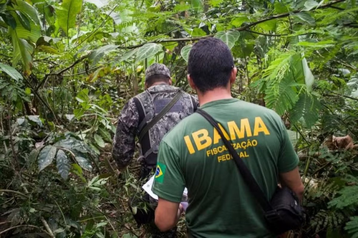 Concurso do Ibama terá 460 vagas e salários de R$ 9,9 mil