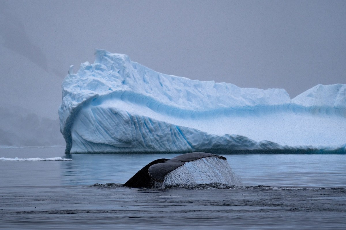 Base meteorológica registra uma das maiores temperaturas da Antártica