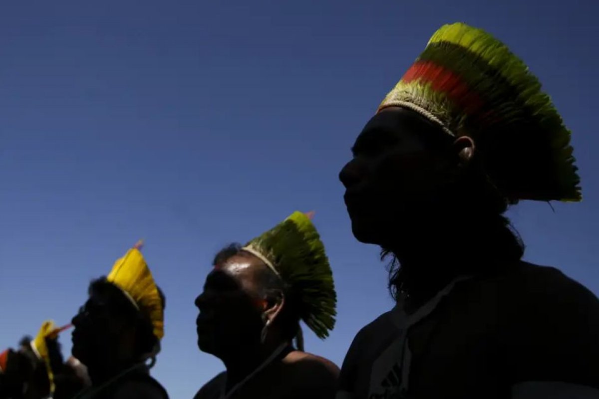 Malária chega a 33 mil casos em um ano na terra yanomami, e quase metade é em crianças de até 9 anos