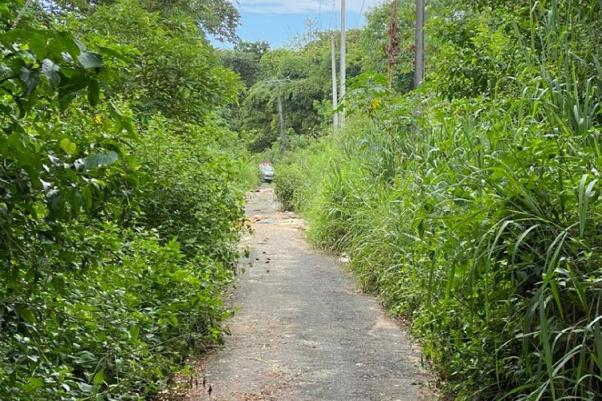 Corpo de adolescente é encontrado em estado de decomposição em bairro de Salvador