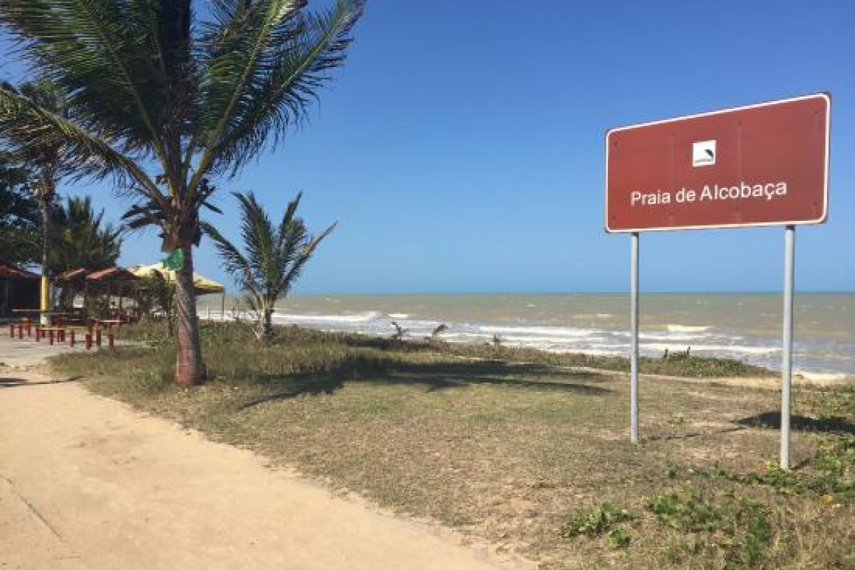 Baleia é encontrada morta na praia de Alcobaça, no sul da Bahia