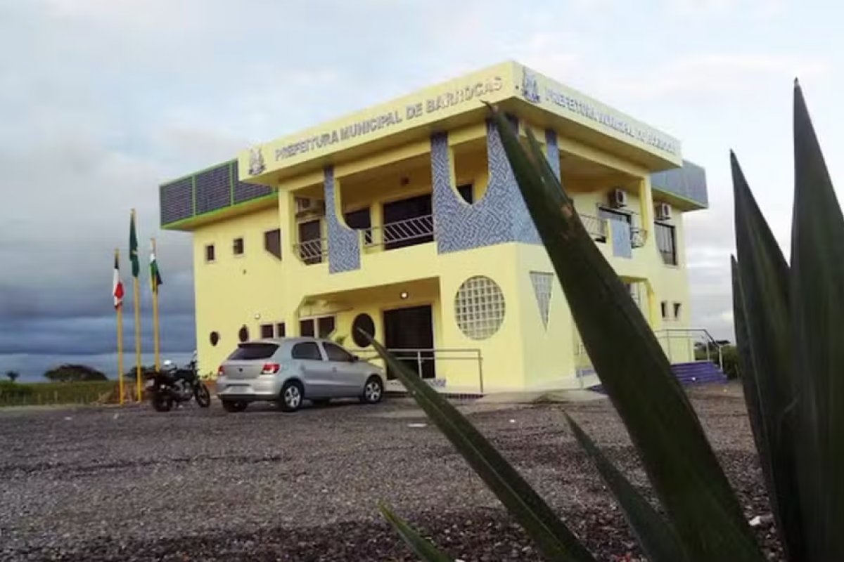Prefeitura na Bahia proíbe circulação de animais soltos nas vias públicas 