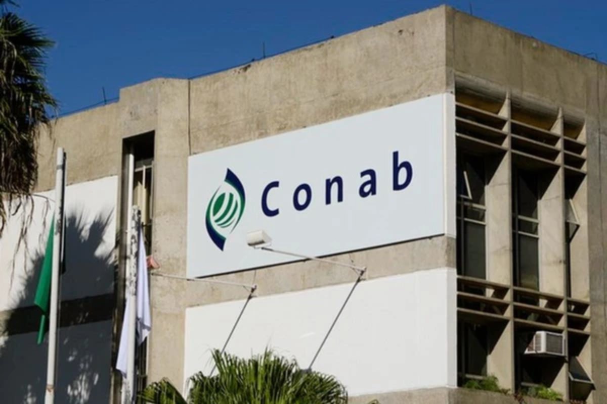 Concurso da Conab oferece mais de 400 vagas com salários de mais de R$ 8 mil 
