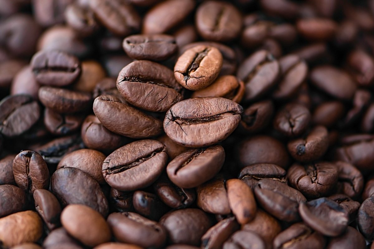 Após mais de um ano de altas sucessivas, preço do café deve estabilizar no Brasil 