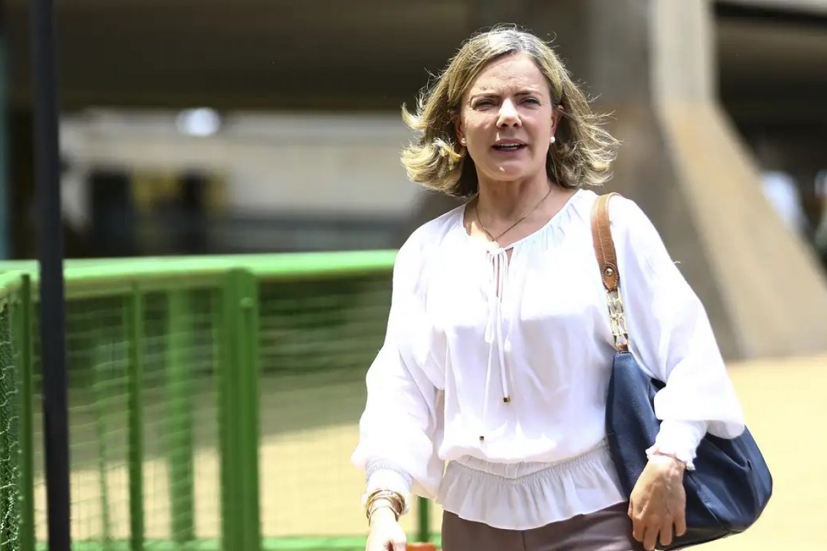 Gleisi agradece após suspensão do mandato de Gilvan da Federal: 'desonrou a atividade parlamentar'  