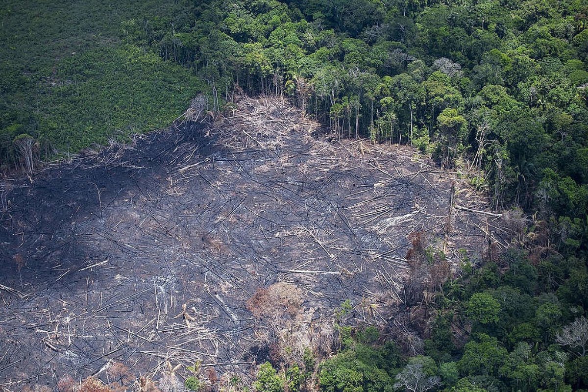 Degradação da Amazônia cresce mais de 160%, enquanto desmatamento cai 