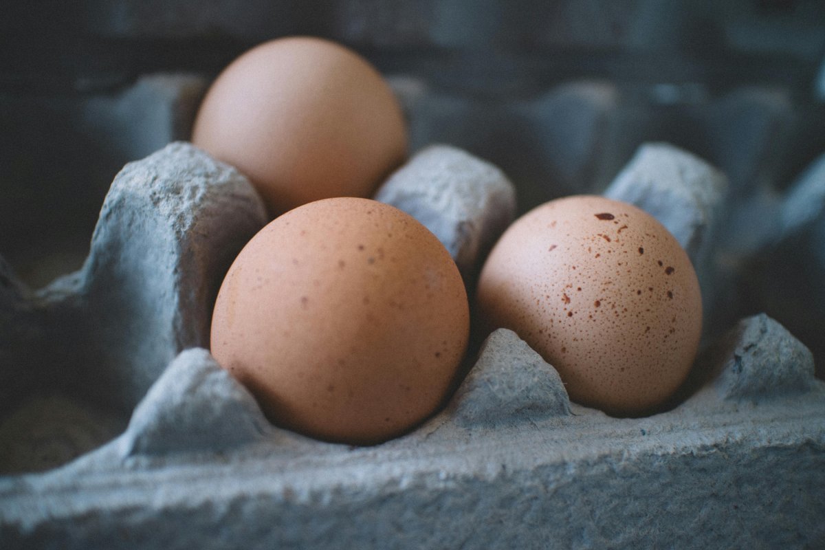 Gripe Aviária não deve gerar impactos relevantes em preços de frango e ovos, diz Fávaro 