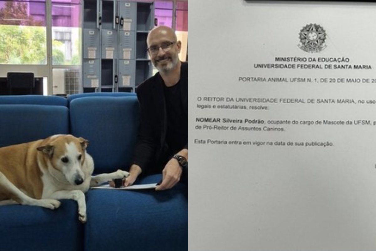 Cão famoso do RS é 'nomeado' pró-reitor de assuntos caninos da UFSM 