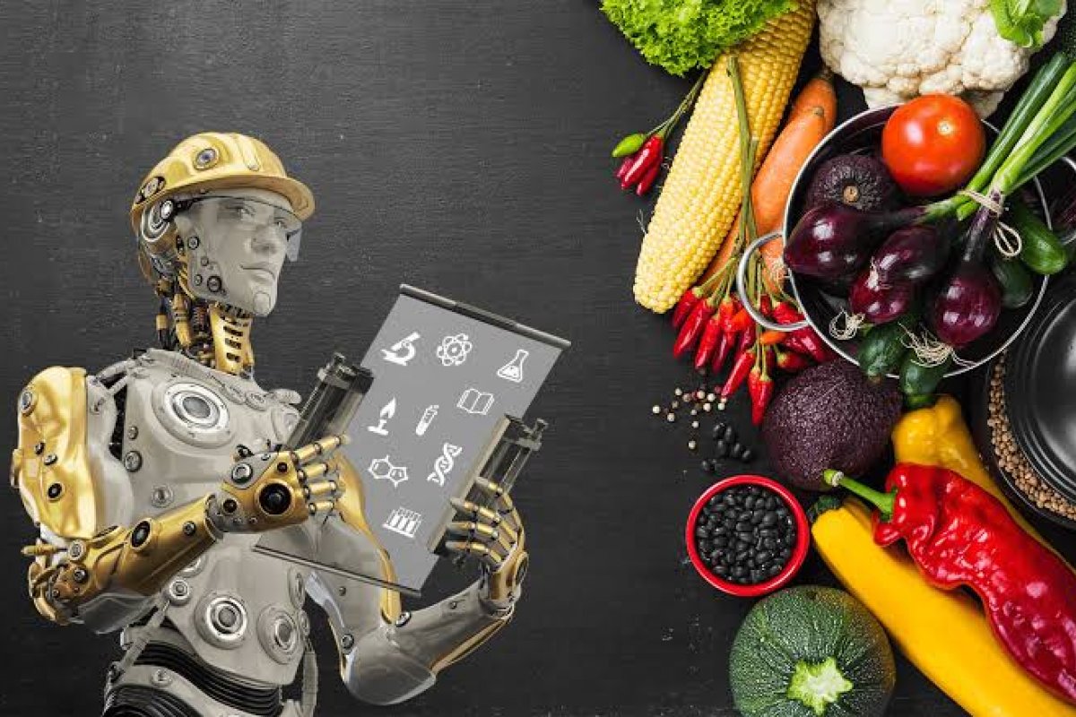 Dietas da internet: conheça os riscos e como buscar informações seguras sobre alimentos!