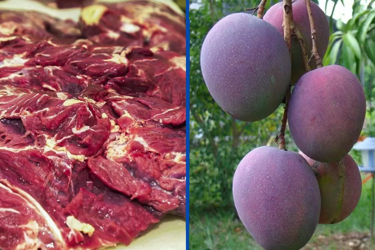 Preços de carnes e frutas no Brasil já apresentam queda e devem despencar após tarifaço de Trump, apontam especialistas