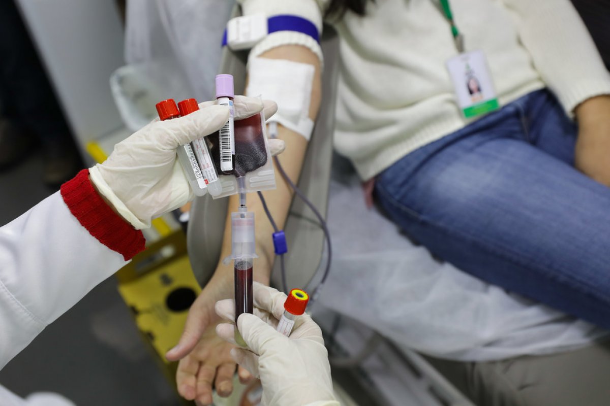 Lei que prevê meia-entrada para doador de sangue aguarda regulamentação do governo há 11 anos