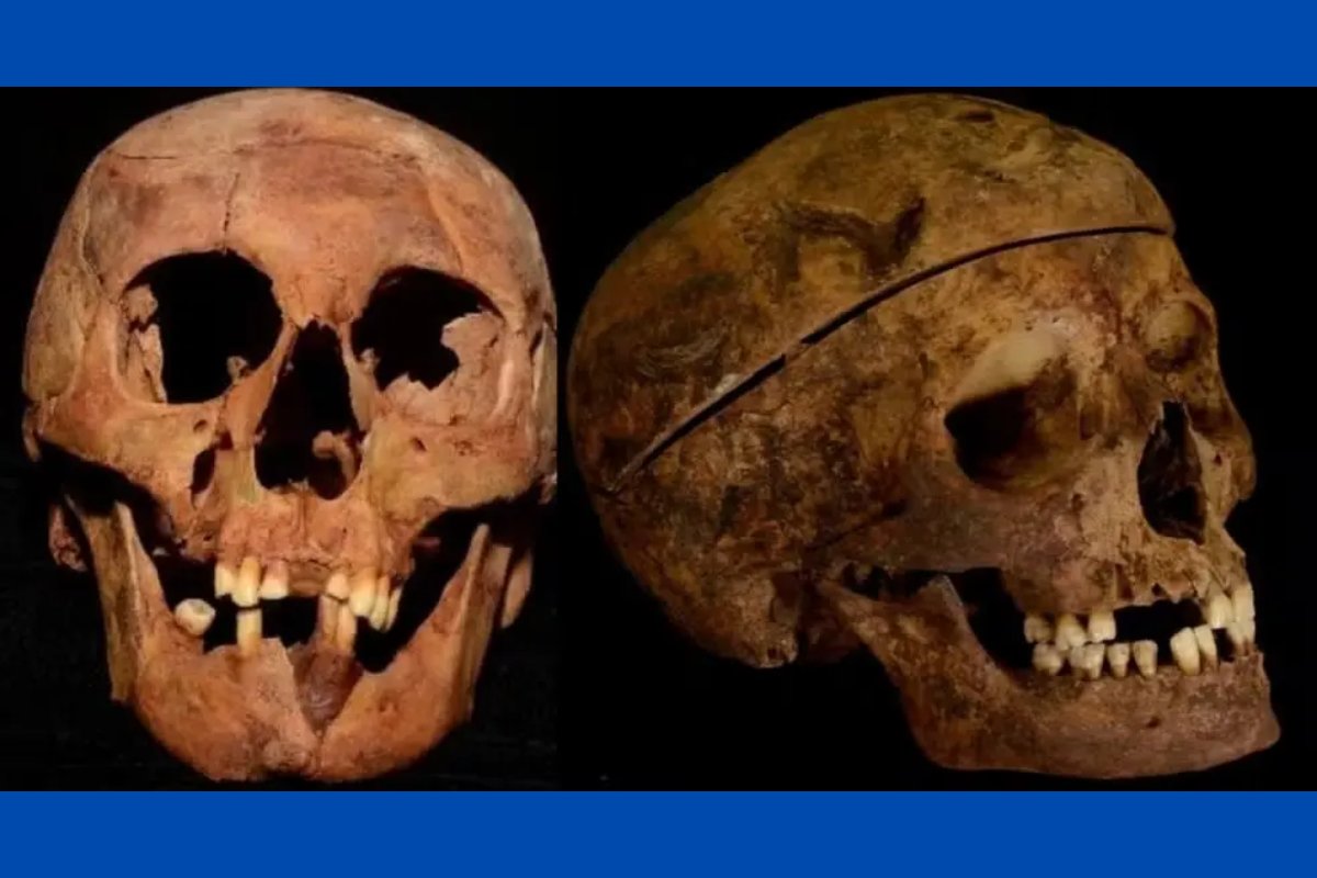 Crânios de Lampião e Maria Bonita vão integrar museu após família guardar peças por 20 anos 
