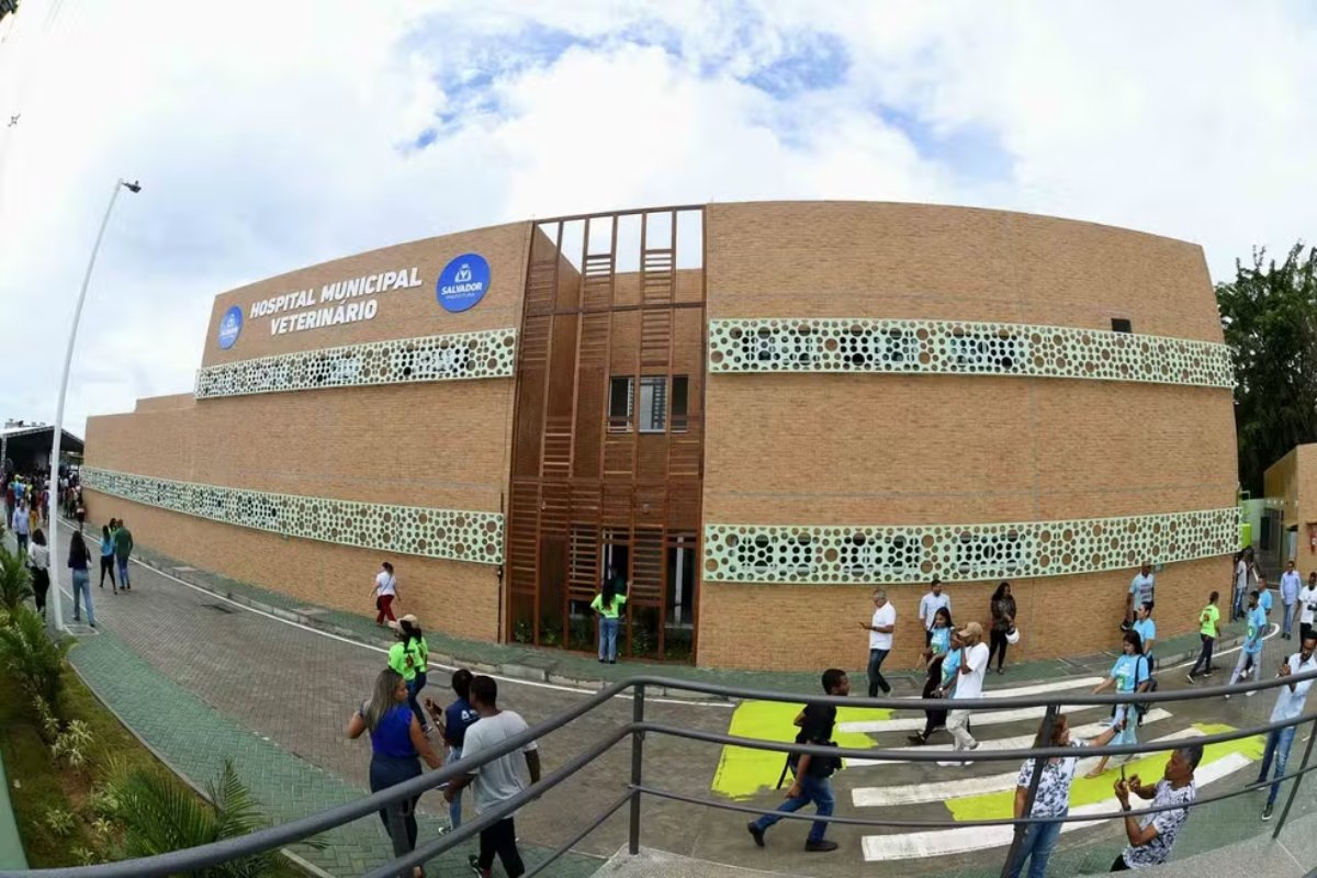 Hospital Municipal Veterinário lança mutirão para castração gratuita de cães e gatos em Salvador nesta quinta-feira (14)