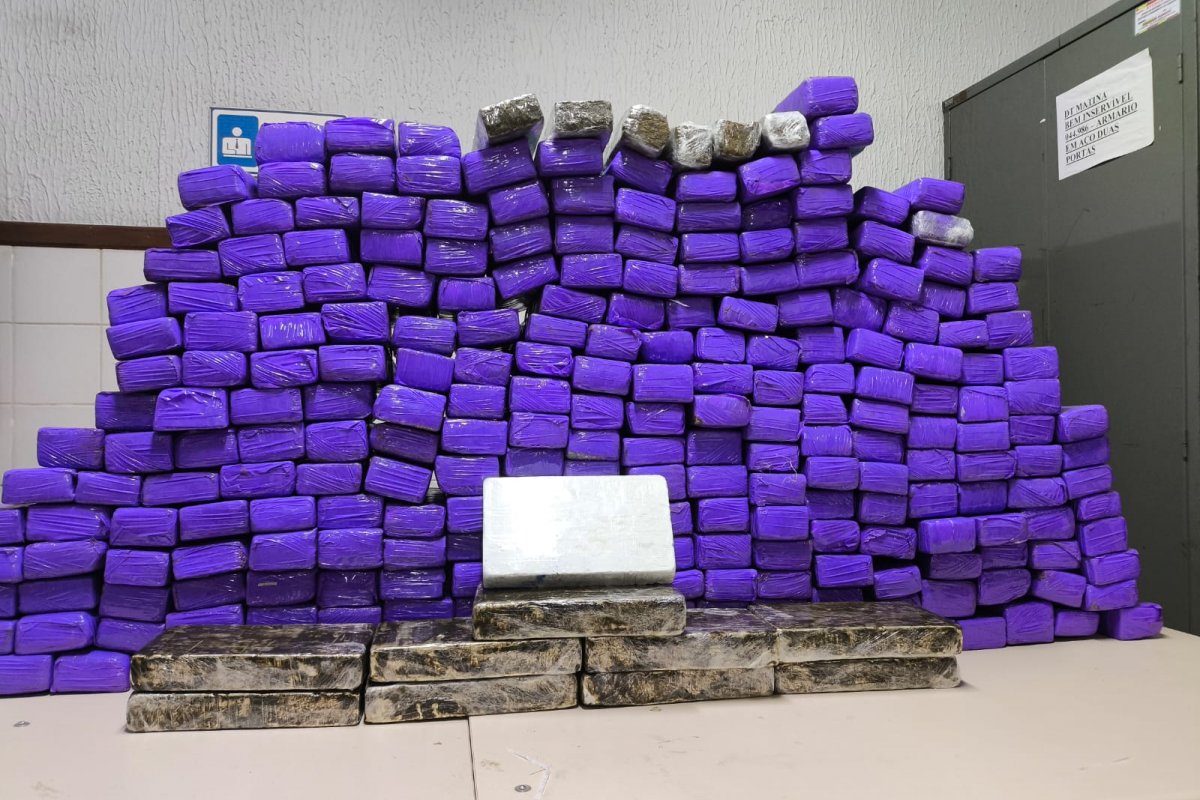 Motorista de van de turismo é preso com mais de 260 kg de drogas em rodovia na Bahia