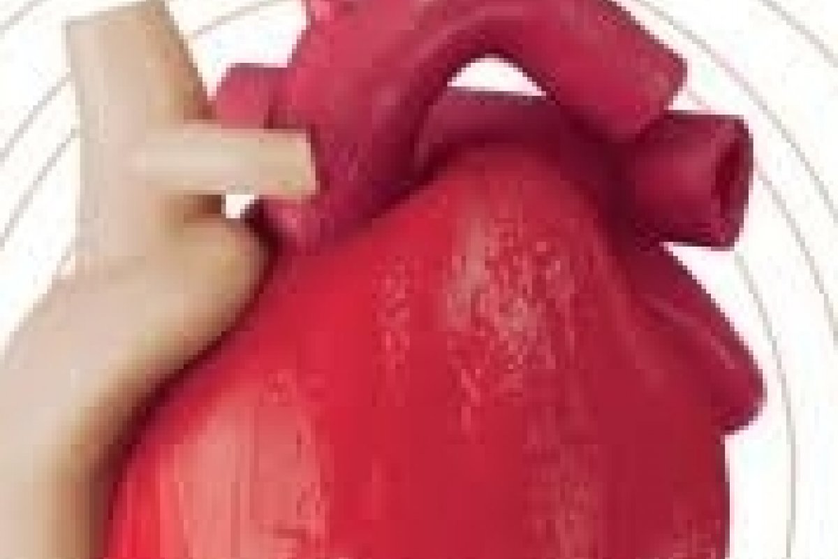 Cardiomiopatia hipertrófica: nova diretriz brasileira alerta para risco silencioso de morte súbita!