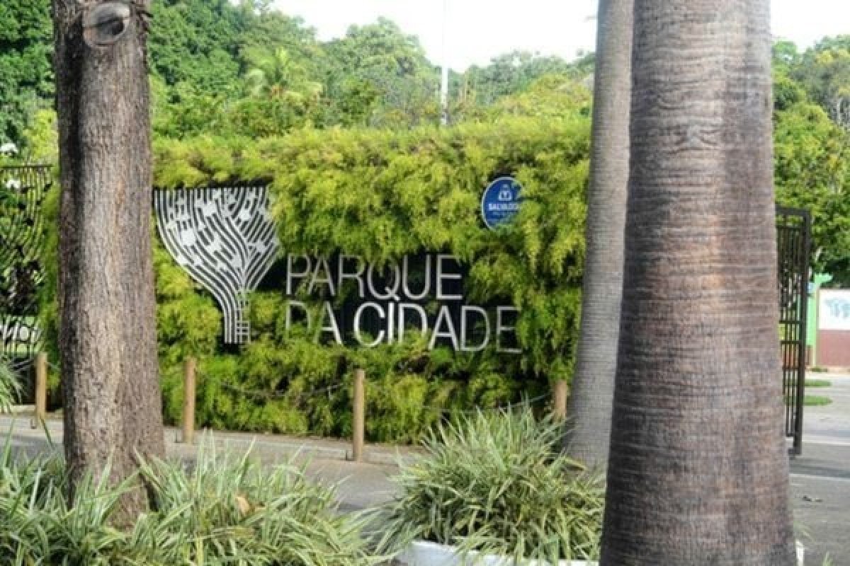 Feira do Empreendedor em Salvador oferece aulas de zumba, exames e adoção de gatos em Salvador