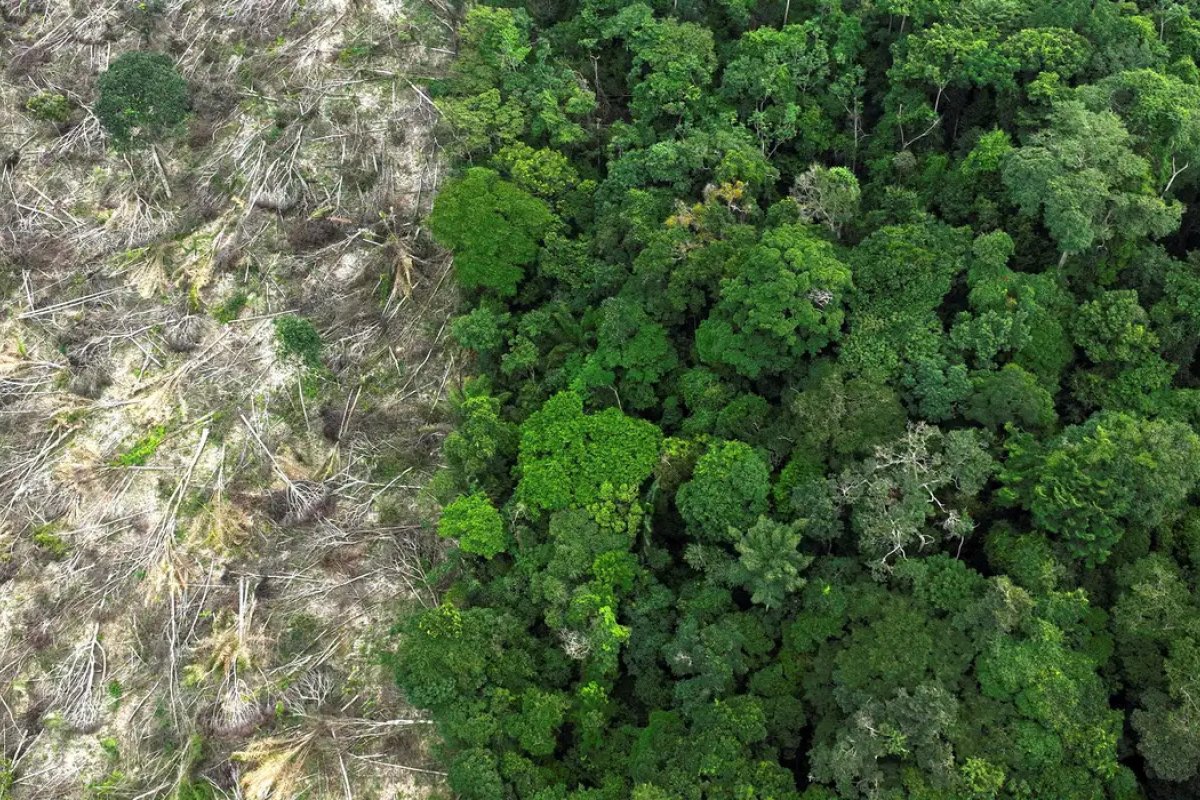 Municípios brasileiros gastaram R$ 732 bilhões com desastres ambientais entre 2013 e 2024