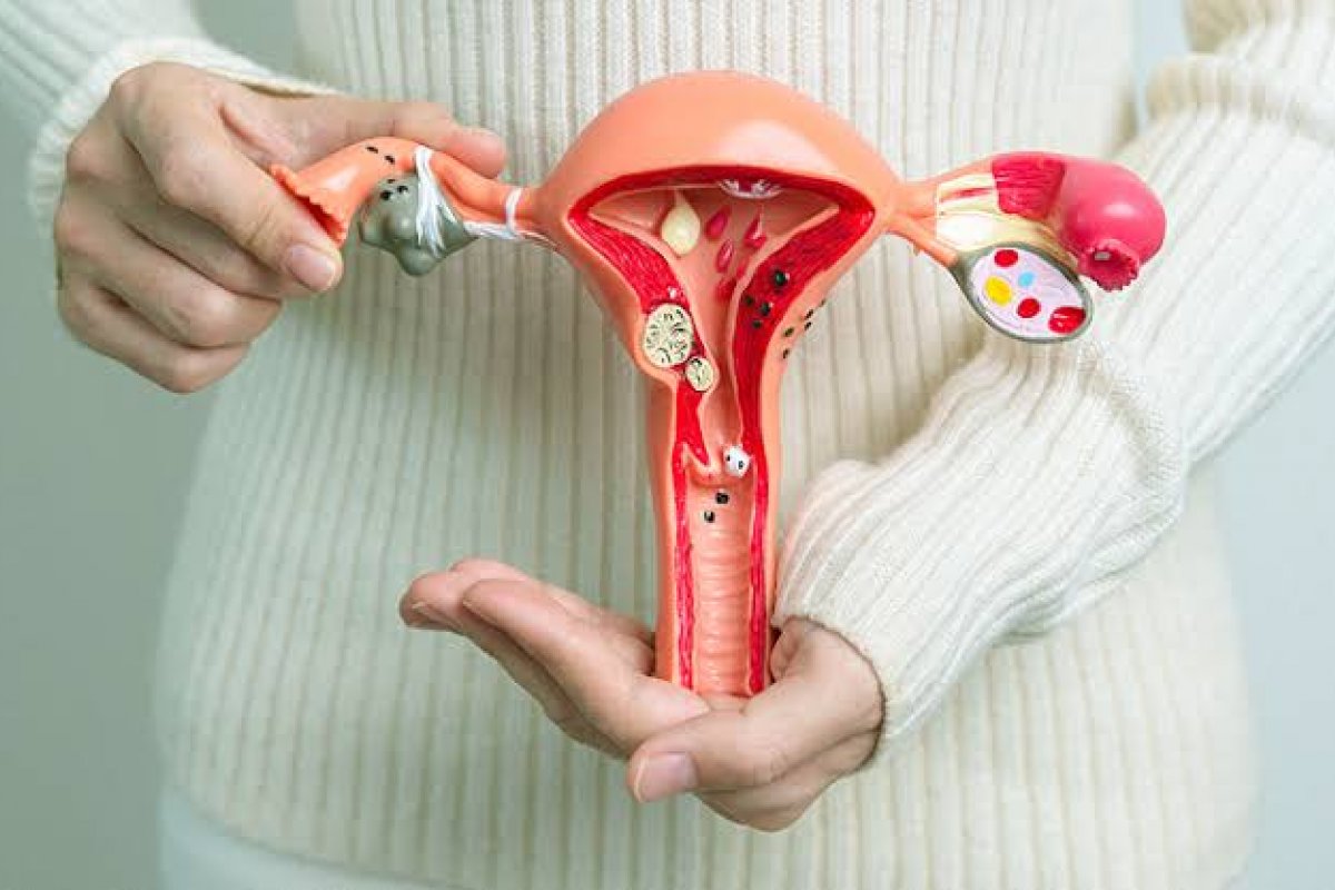 Clínica com foco em menopausa celebra lançamento com conversa sobre saúde feminina! 