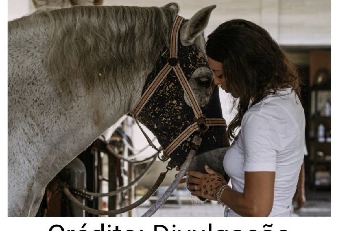 UNIFACS realiza atendimento clínico e odontológico a cavalos urbanos de Salvador! 
