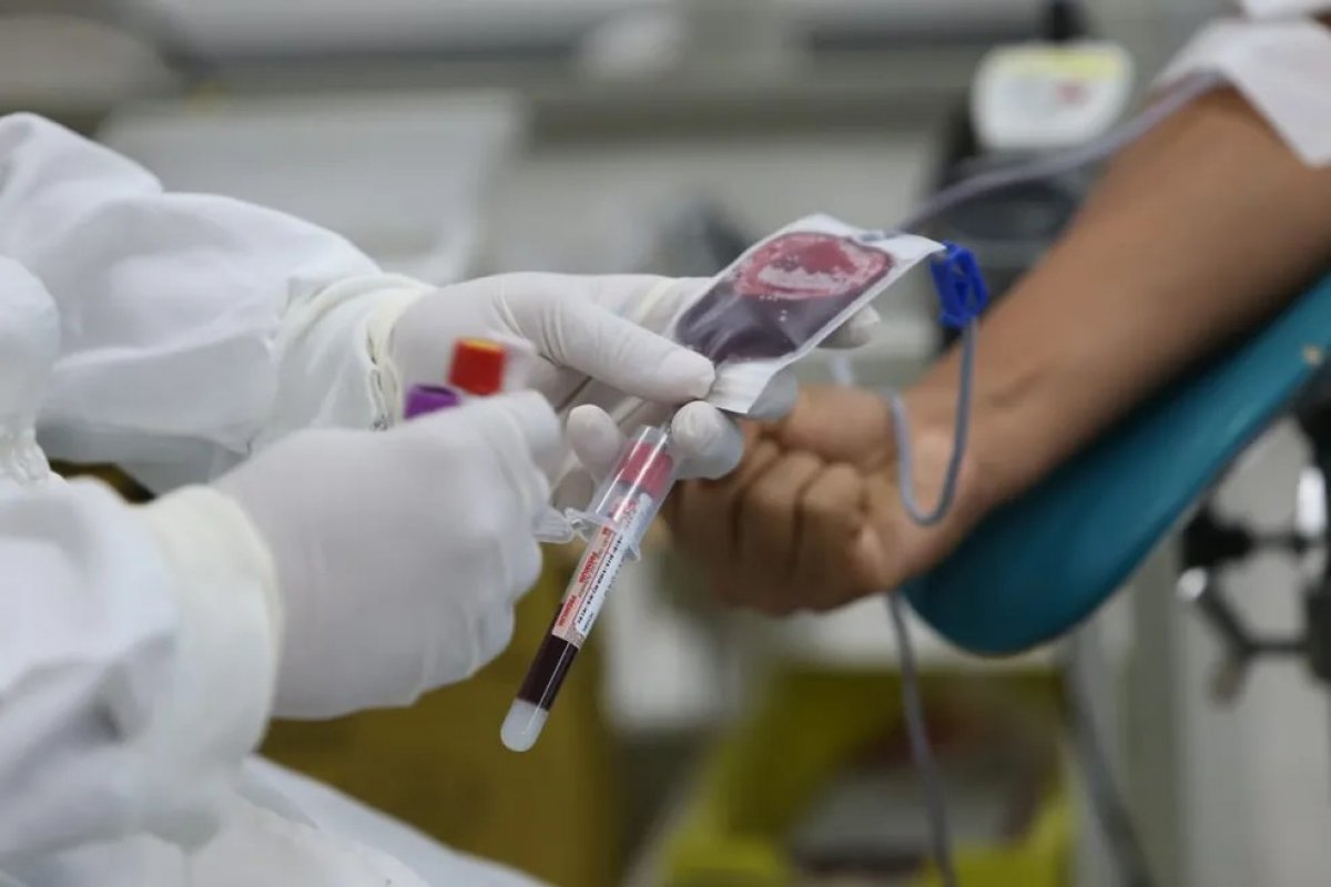 Hemoba traz programação musical para incentivar doação de sangue