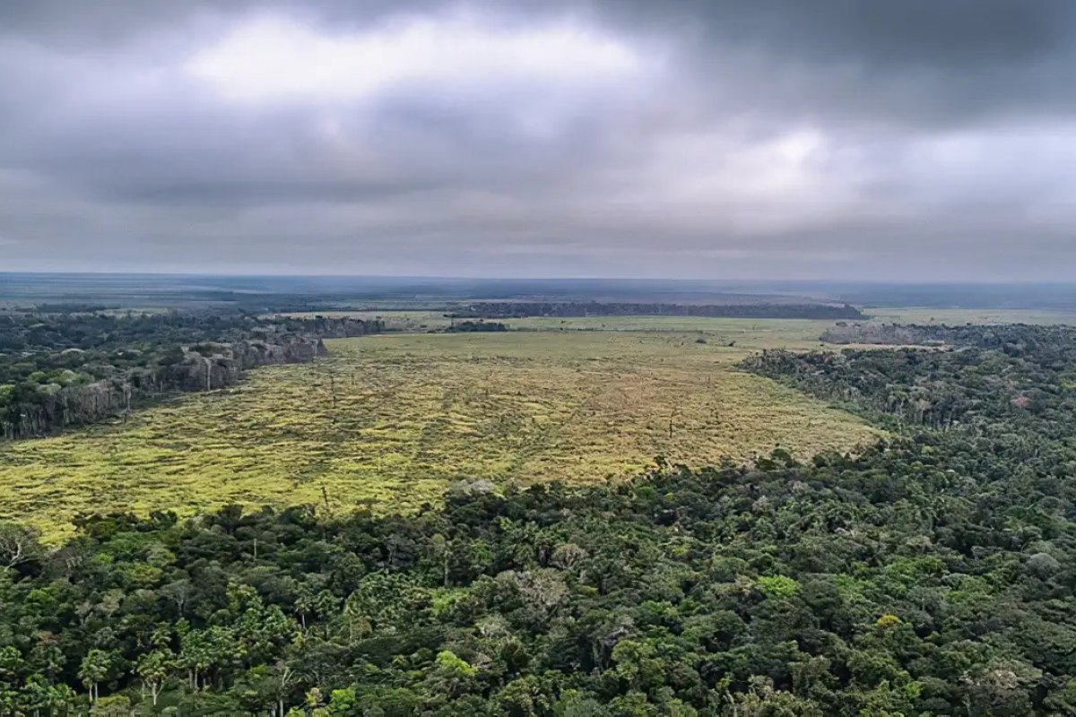Empresas de infraestrutura comemoram a derruba dos vetos presidenciais ao licenciamento ambiental