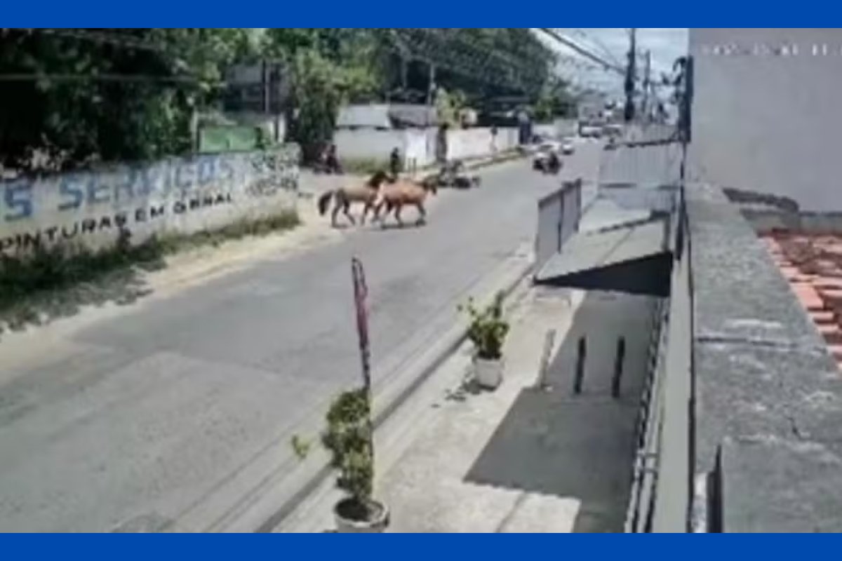 Vídeo: motociclista é atropelado por cavalos em Feira de Santana