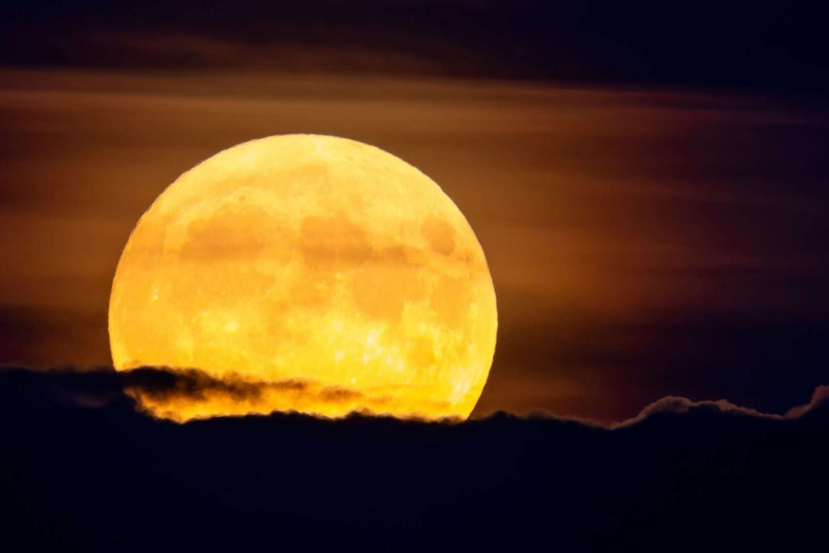 Última superlua do ano pode ser vista na noite desta quinta-feira (4) 