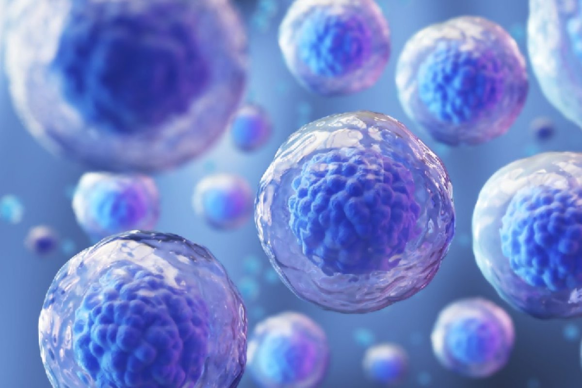 Células-tronco no combate à dor: entenda como a medicina regenerativa está transformando tratamentos articulares! 